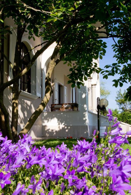 La Coralia B&B Massa  Exterior foto